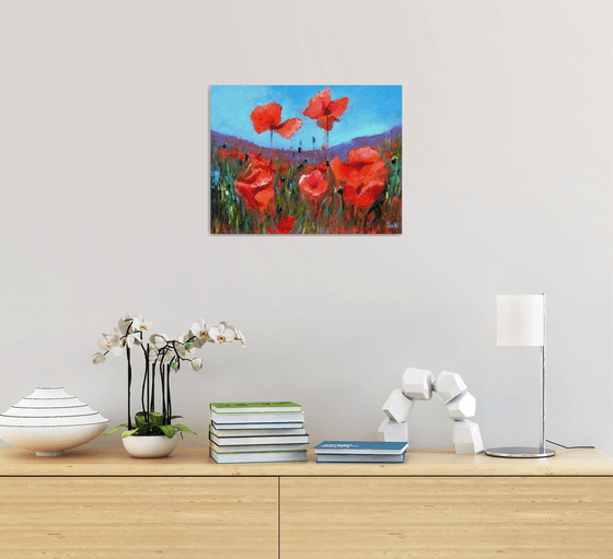 Coral Poppies