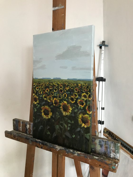 Sunflowers of Ukraine