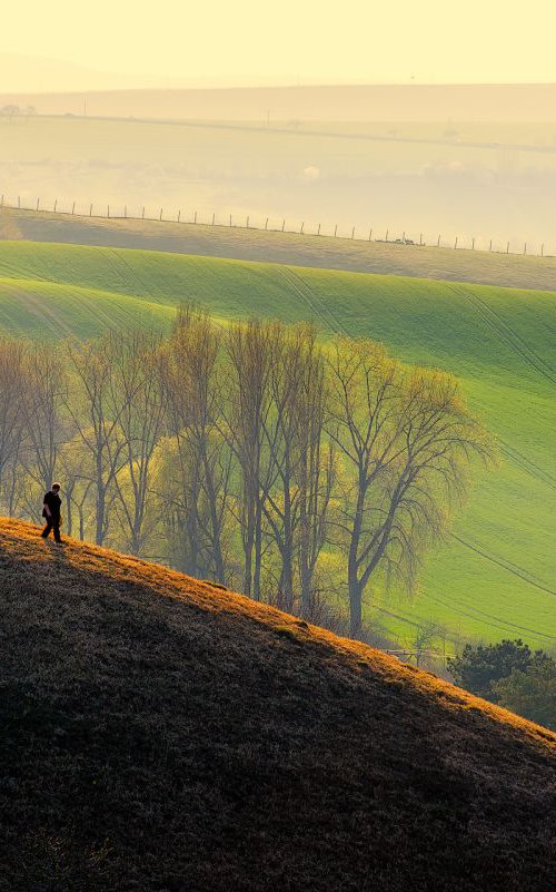 Evening walk in Moravia by Janek Sedlar