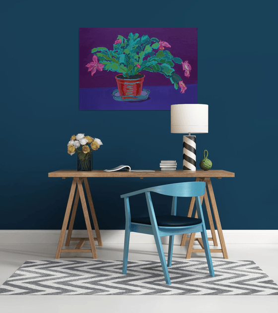 Holiday cactus