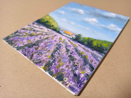 Impression. Lavender fields