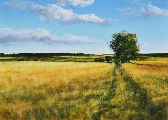 "Path through the field of wheat"   SPECIAL PRICE!!!