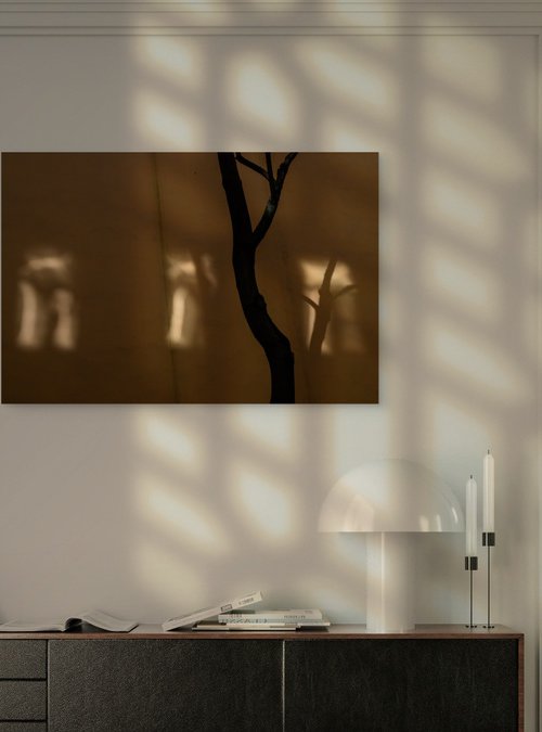 Three windows by Dimitri Bakhtadze