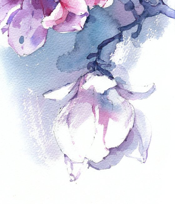 "Melody of pink magnolias" v.3