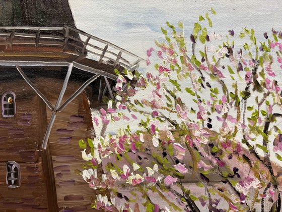 Magnolia and Historic Windmill