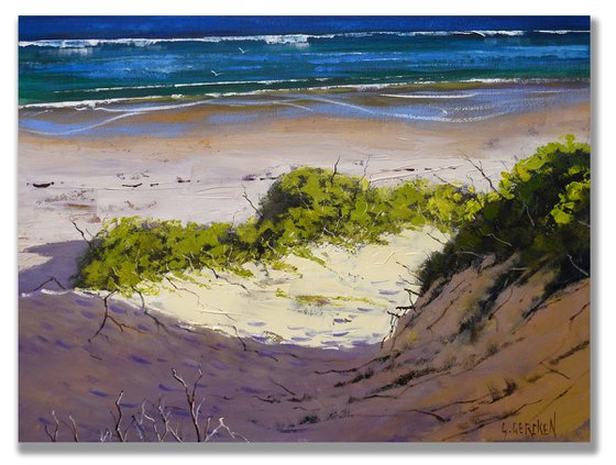 Australian Sandy  Beach dunes