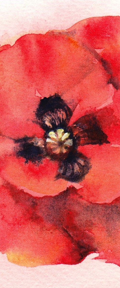 Poppy Painting, Floral Painting, Floral Wall Art, Flower Painting, Watercolour, watercolor, Minimalist by Anjana Cawdell