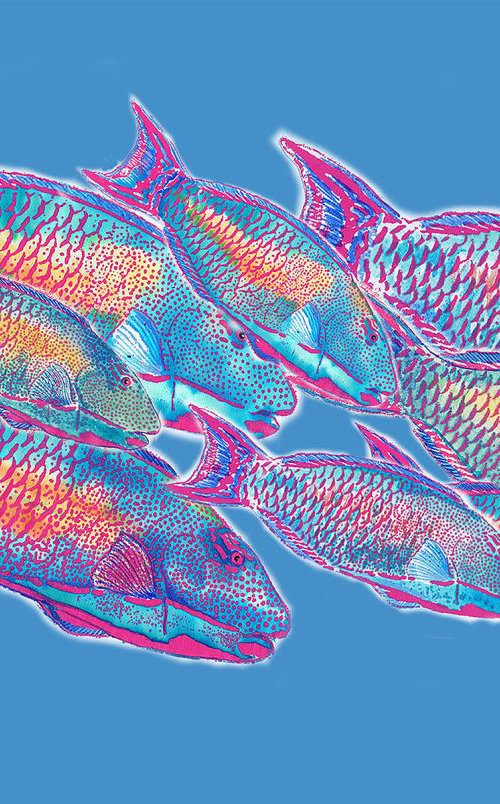 Psychedelic Parrotfish, 3/30 by Julia Wakefield