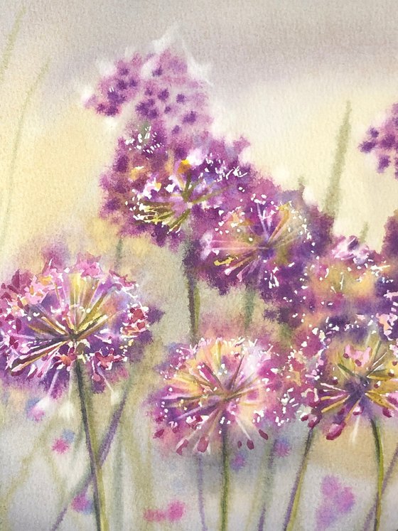 Allium flowers