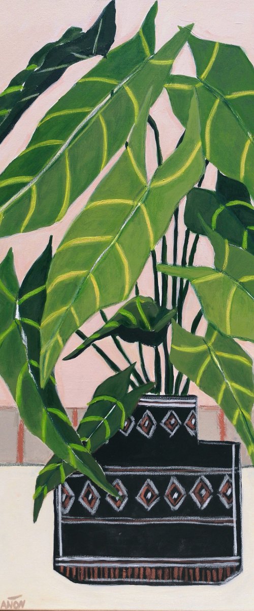 The Potted Plants l by Marisa Añón