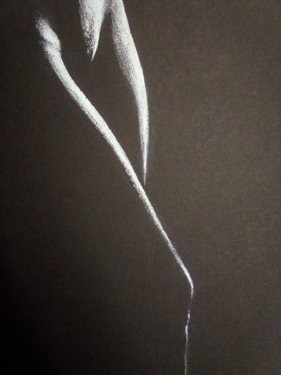 Nude noir #269 (21X29)cm