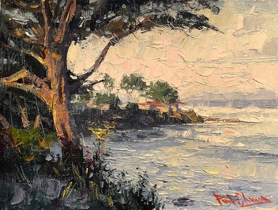 Plein Air Painting _ Carmel CA