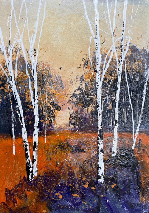 Fall approaches silver birches by Teresa Tanner