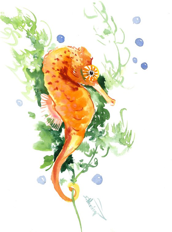 Seahorse