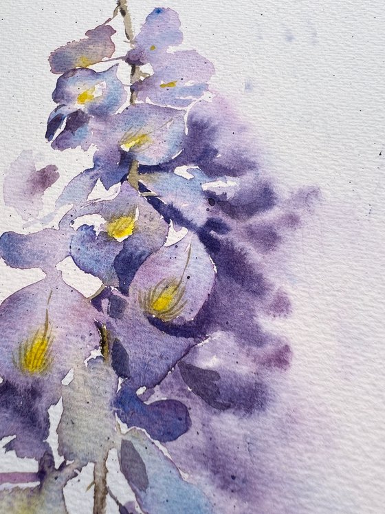 Wisteria #3