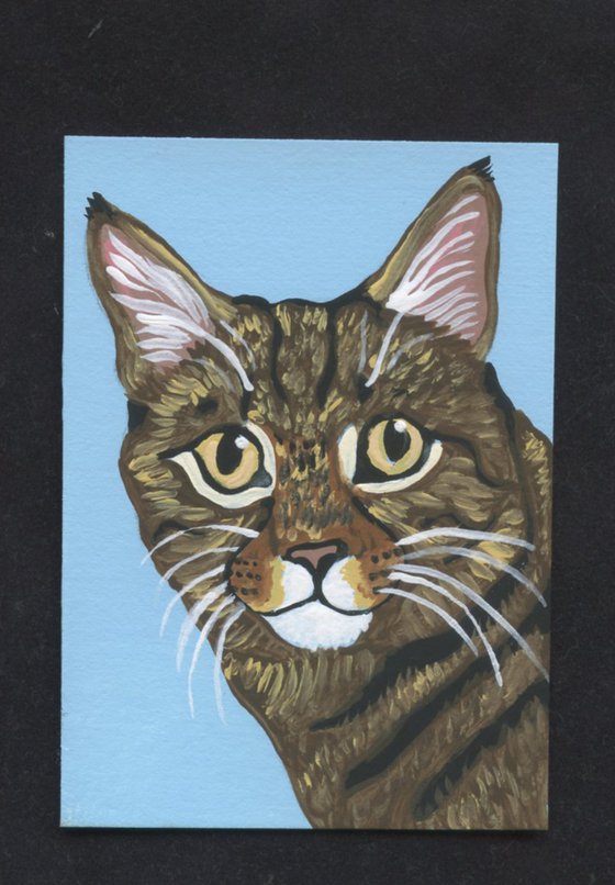 ACEO ATC Original Miniature Painting Brown Tabby Cat Pet Feline Art-Carla Smale