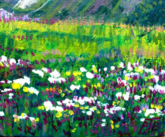 Alpine Meadow I