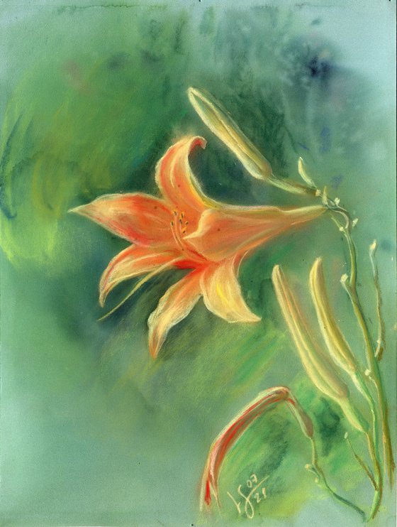 Orange lily on a green background. Pastel painting on cardboard.