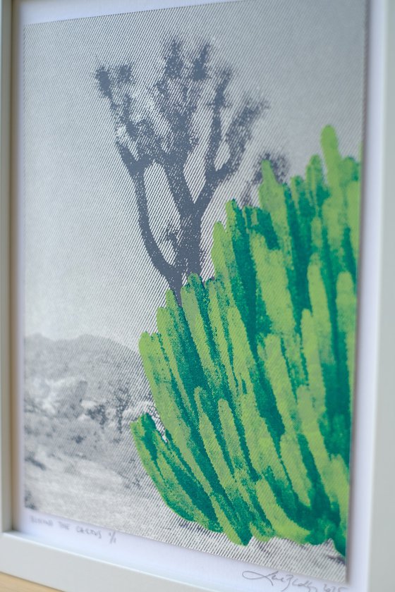Behind the cactus
