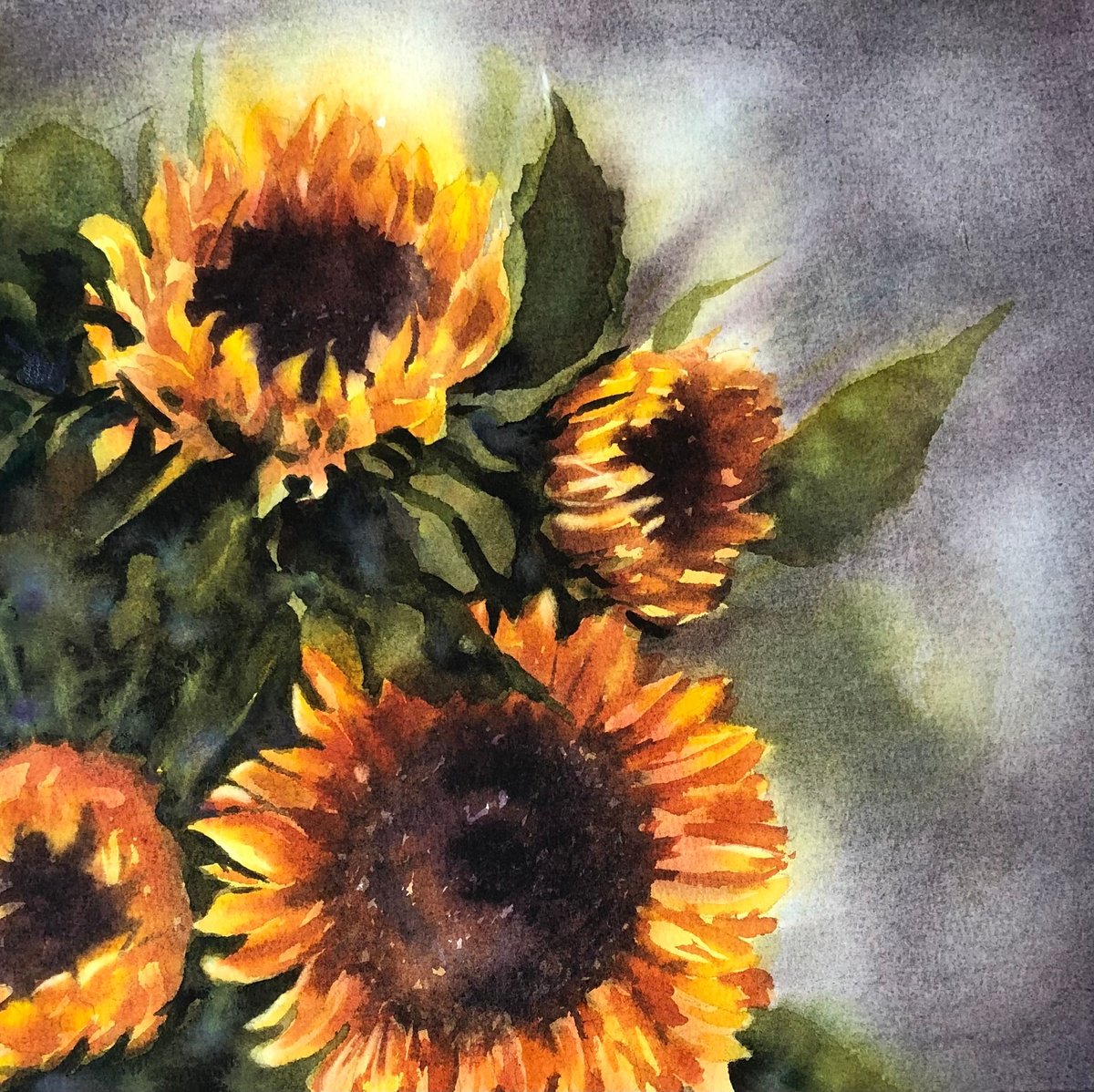 Photorealistic Botanical Watercolour By Alina Karpova, 10 X 10, Sunflowers, Original Artwork