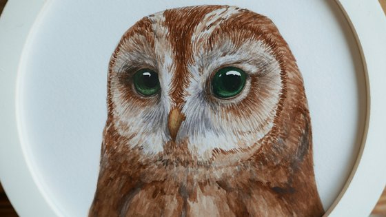 Framed owl. Part 3.
