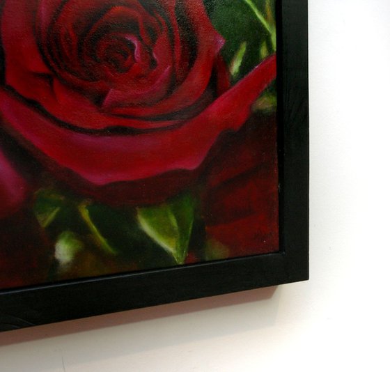 Red Rose - Realistic Still Life