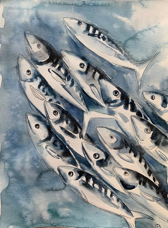 Fish life