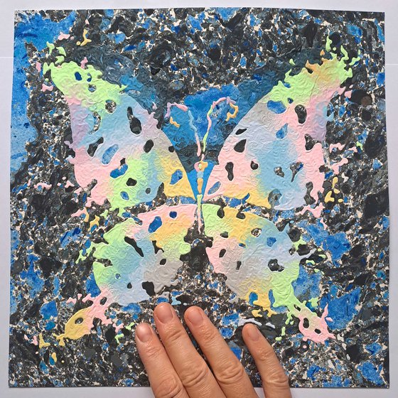 Butterfly «Night Rainbow»