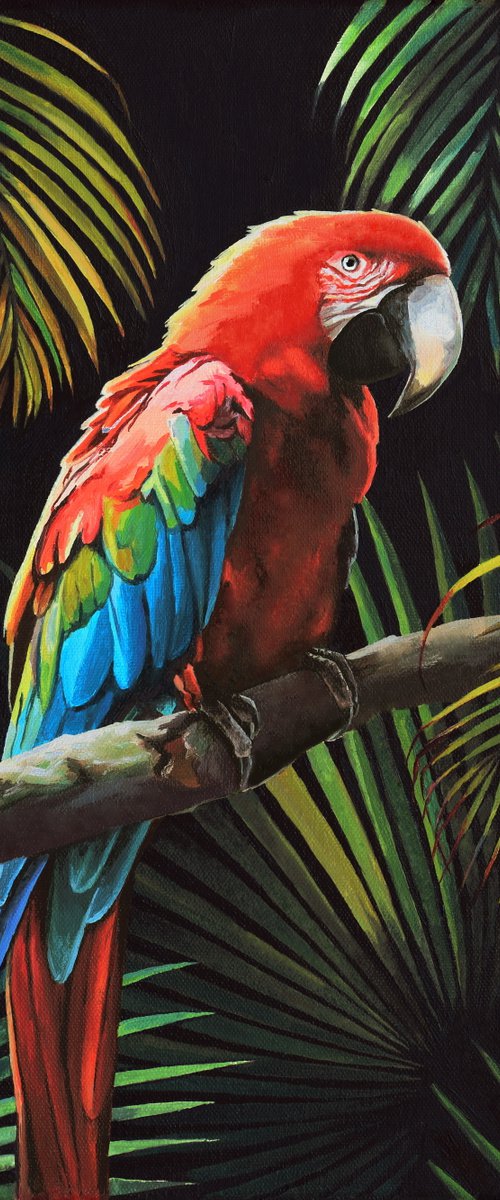 'Bold feathers' by Lucia Verdejo