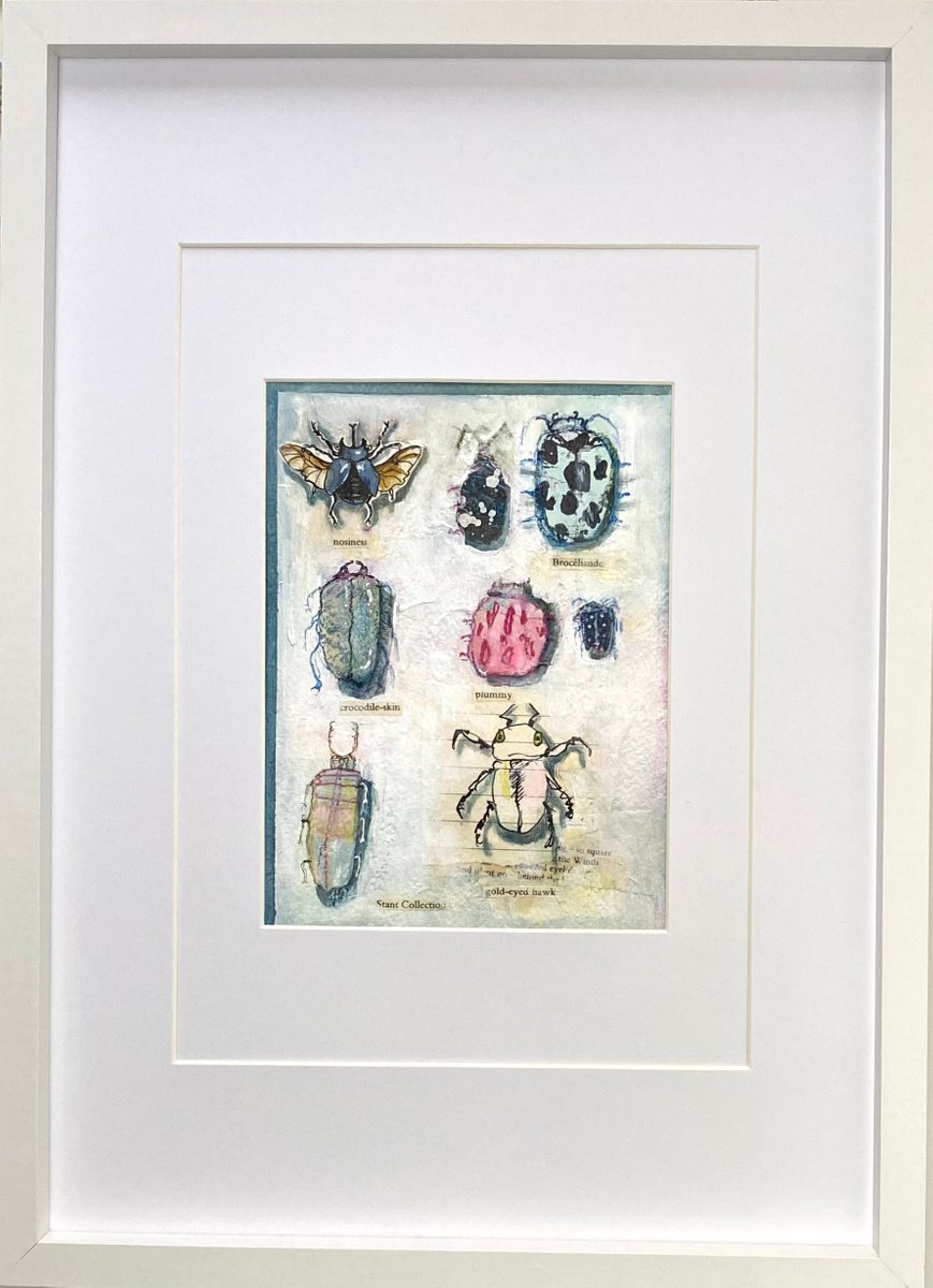 Bug Collection #10 By Luci Power, 13 X 17, Artwork For Sale On Artfinder