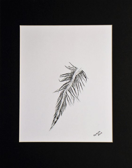 Feather IV