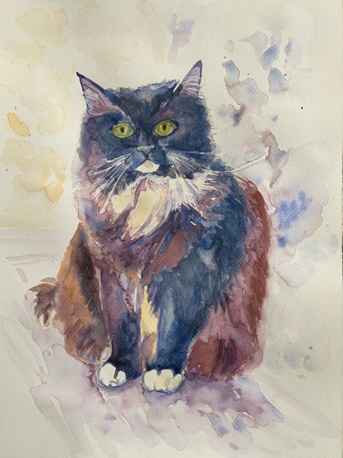 Sitting Cat by Mary Stubberfield