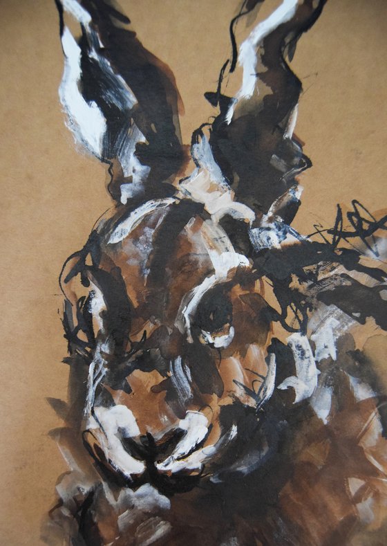 Hare Study