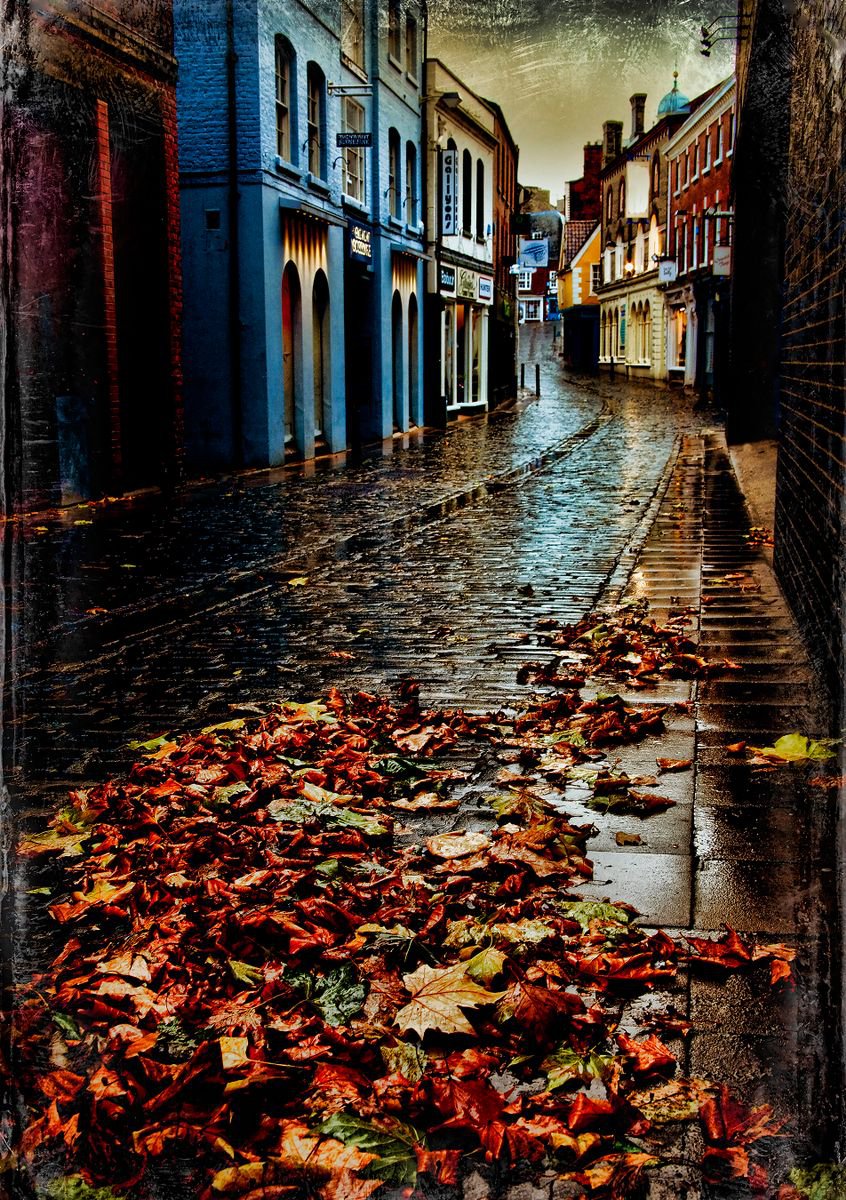 Autumn Lane by Martin Fry