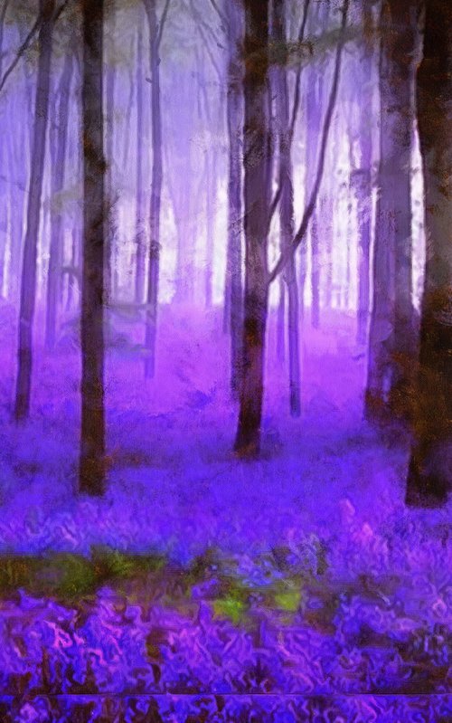 Bluebells 1 by Alistair Wells