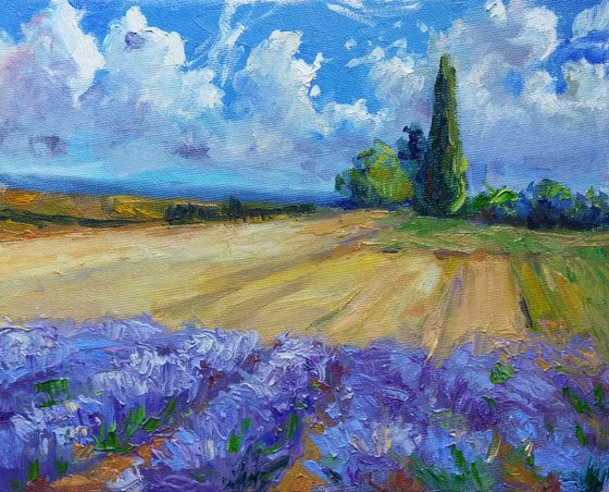 French Lavender Fields 20*25 cm