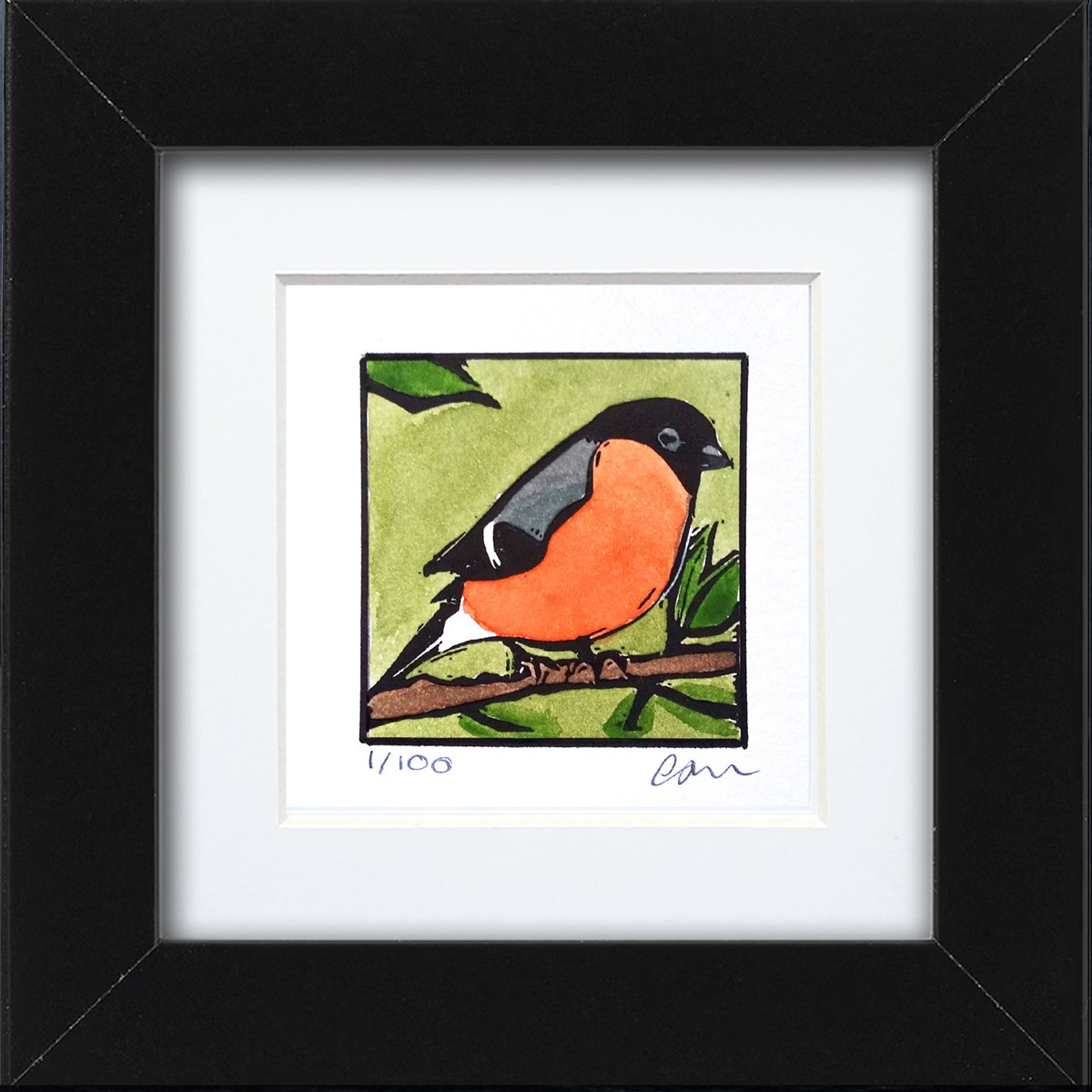 Bullfinch by Carolynne Coulson