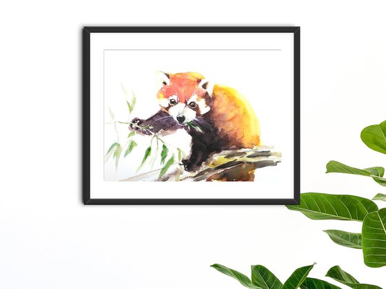 Red panda artwork, watercolor illustration