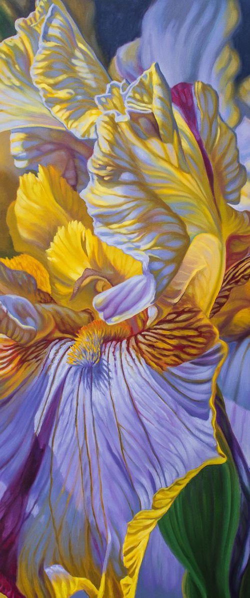 Floralscape 2: Mauve and Yellow Irises by Fiona Craig