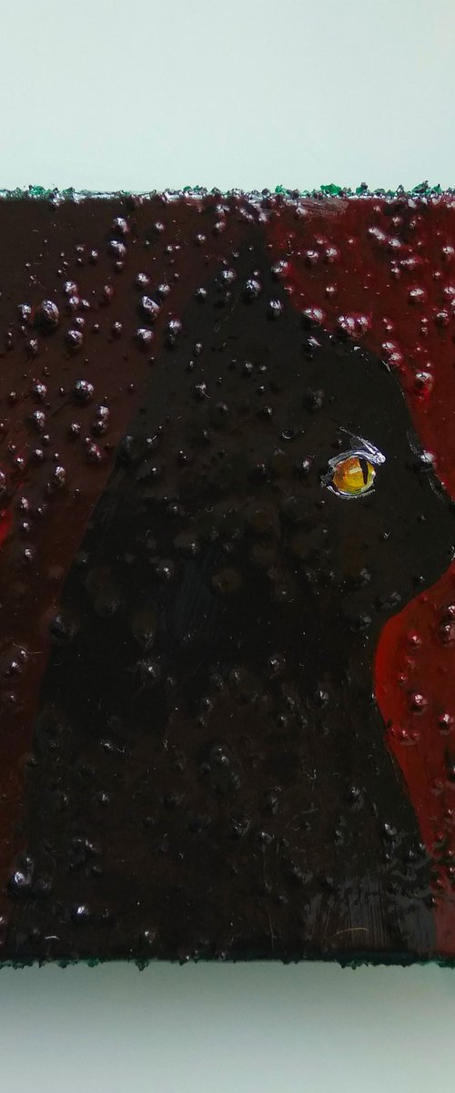 "Cat looking in to the mirror" by Marya