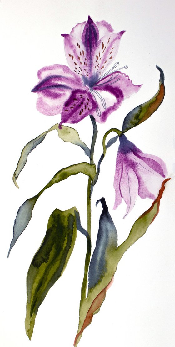 Lilies No. 11
