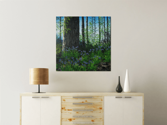 Forest Floor in Spring