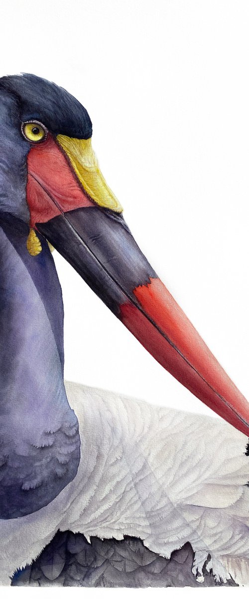 Saddle-billed Stork Portrait by Tetiana Savchenko