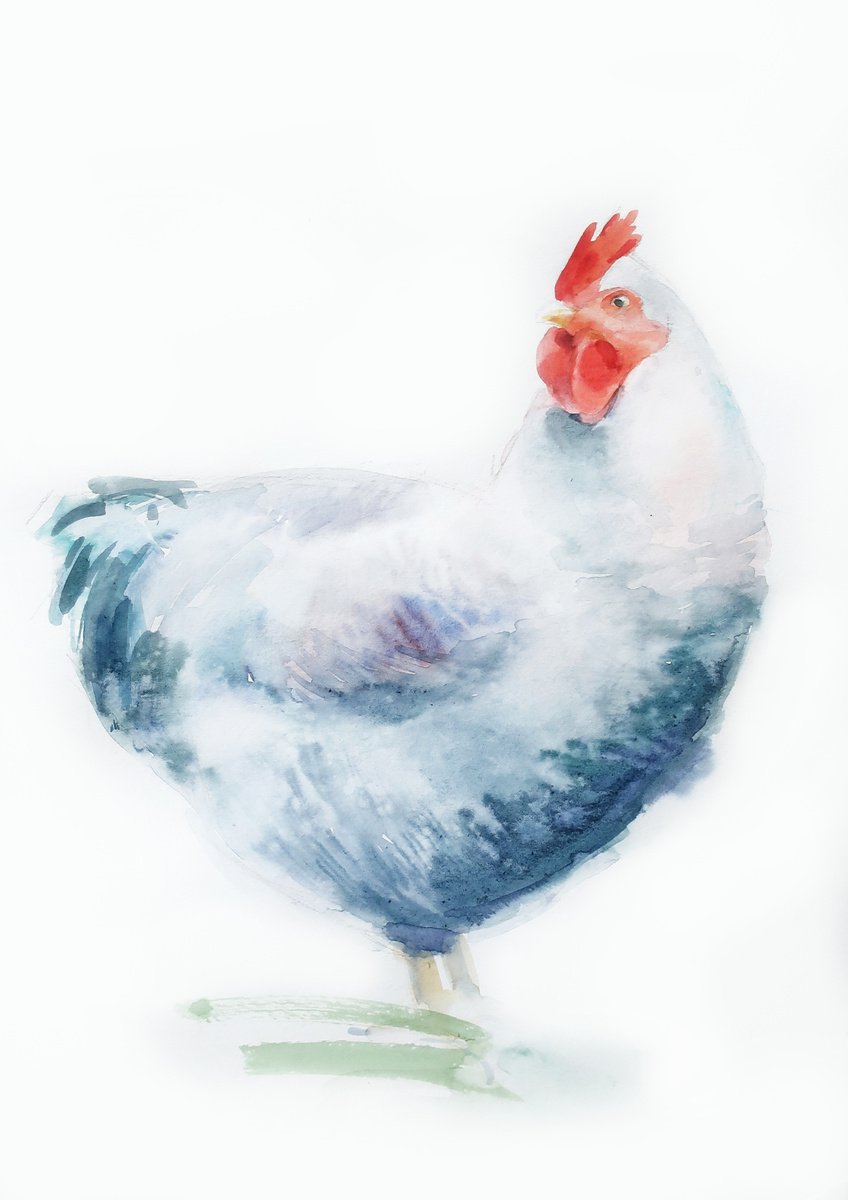 WATERCOLOR PAINTING BIRD Chicken by Anna Shchapova