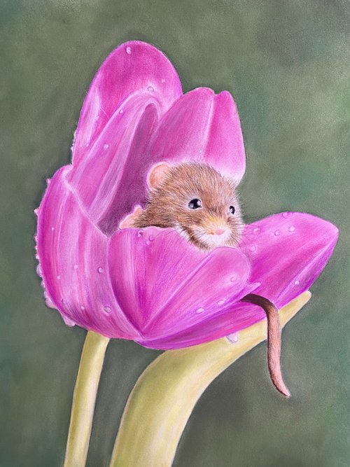 Mouse in tulip by Maxine Taylor