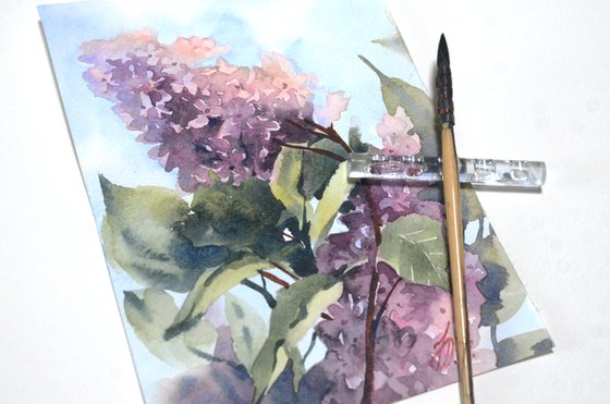 Watercolour lilac, small painting from the Lilac Garden