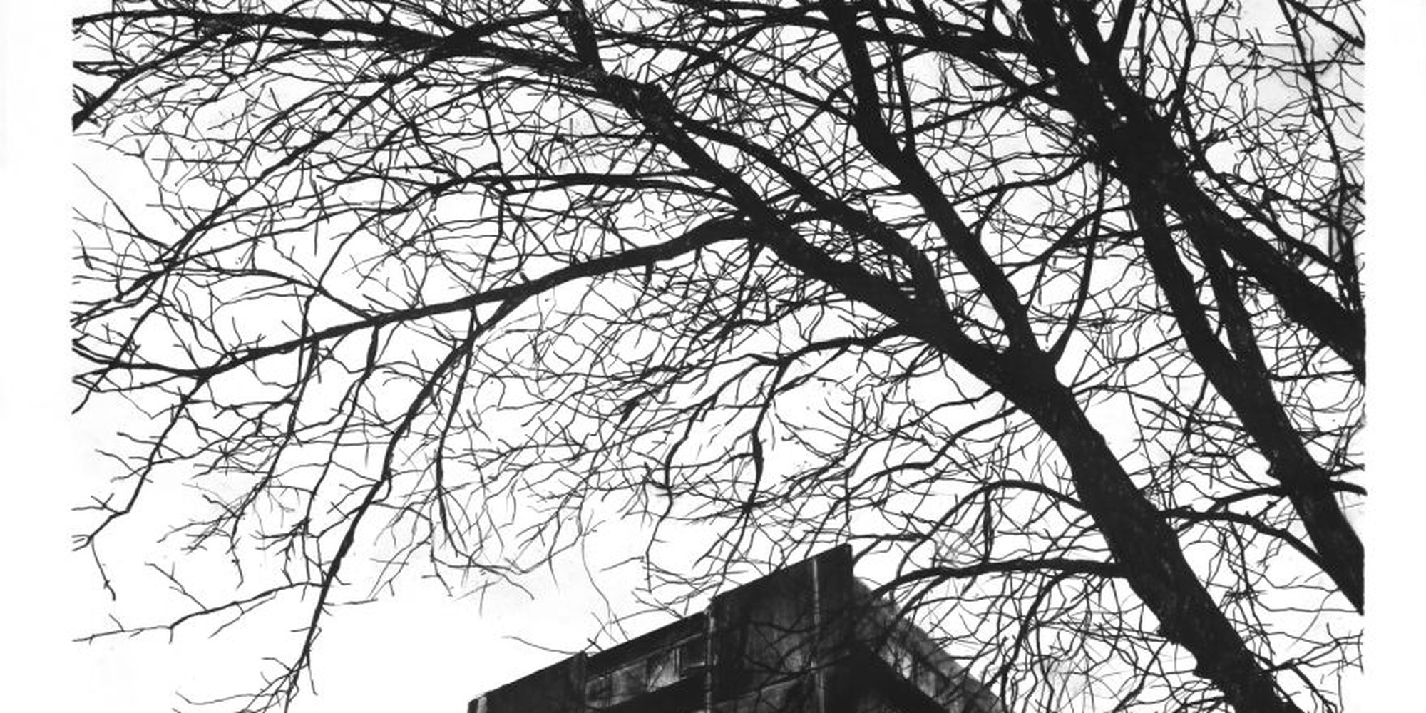 Art of the Day: "de Beauvoir Plane, London, 2015" by Paul West