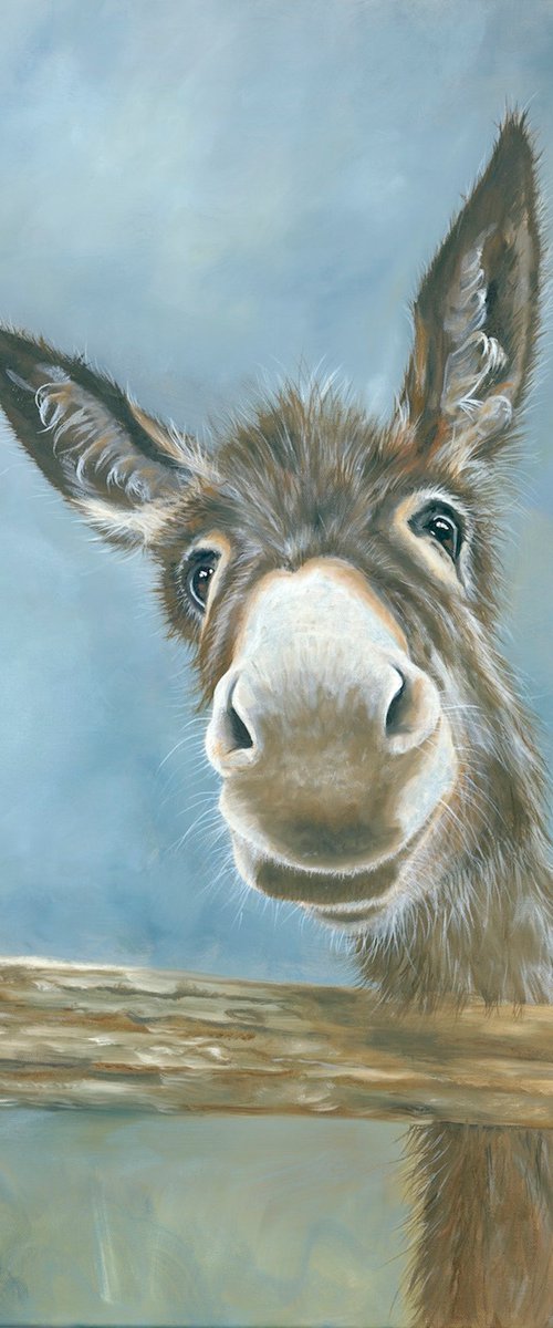 'Donkey Dear' by Nicola Colbran