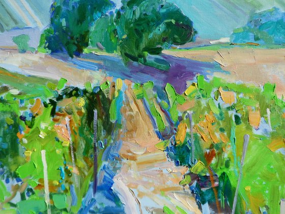 " Valley of vineyards"