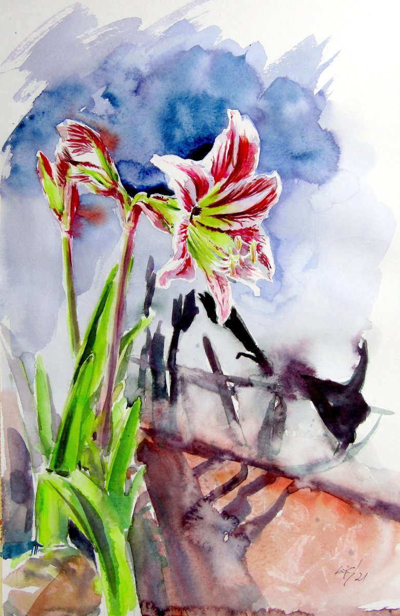 Impressionistic Watercolour , Amaryllis By Kovacs Anna Brigitta, 13 X 20, Artwork For Sale On Artfinder